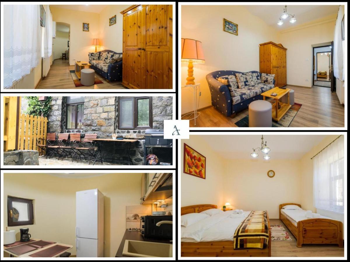Apartment Carol Private Yard With Barbeque And Parking Sinaia Exterior photo