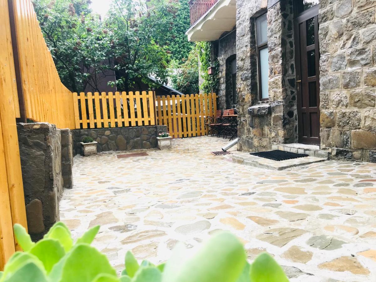 Apartment Carol Private Yard With Barbeque And Parking Sinaia Exterior photo