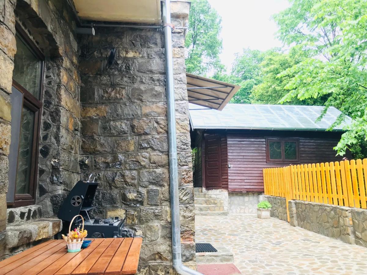 Apartment Carol Private Yard With Barbeque And Parking Sinaia Exterior photo